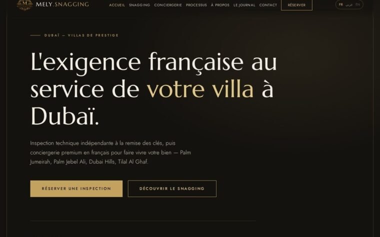 Aperçu du site Mely Snagging Consulting